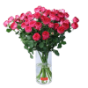 Below 149 AED
