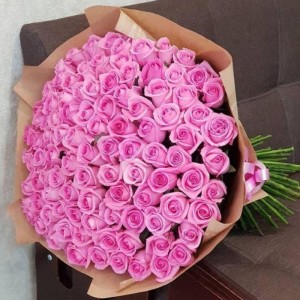 101 Pink Roses