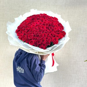 101 Premium Roses