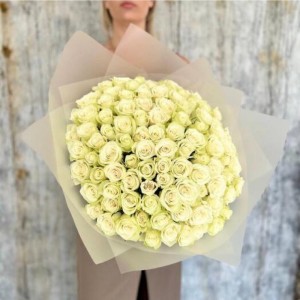 101 White Athena Roses Bouquets-6