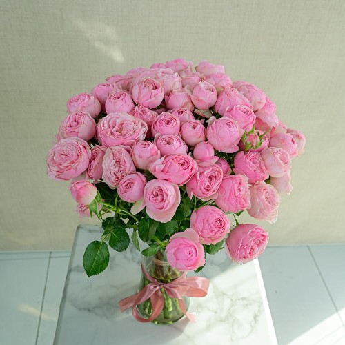 15 Mansfield Grace 15 Mansfield Grace