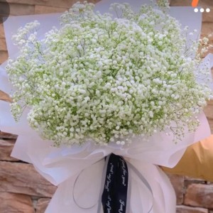 15 Stems Gypsophila Bouquet