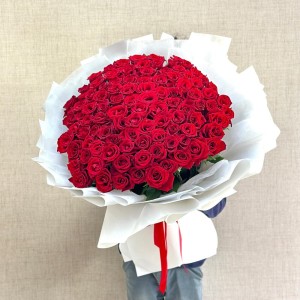 101 Premium Roses