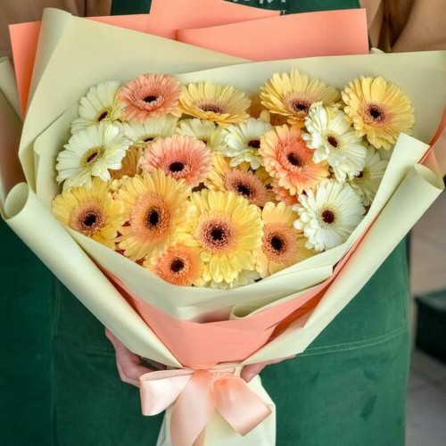 19 Mini Mixed Colors Gerberas 19 Mini Mixed Colors Gerberas