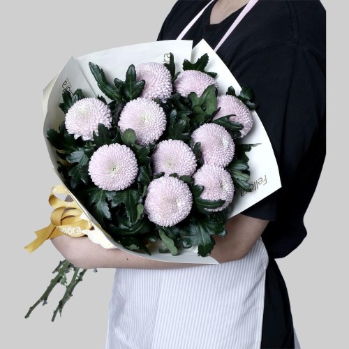 Chrysanthemum Momoko Chrysanthemum Momoko